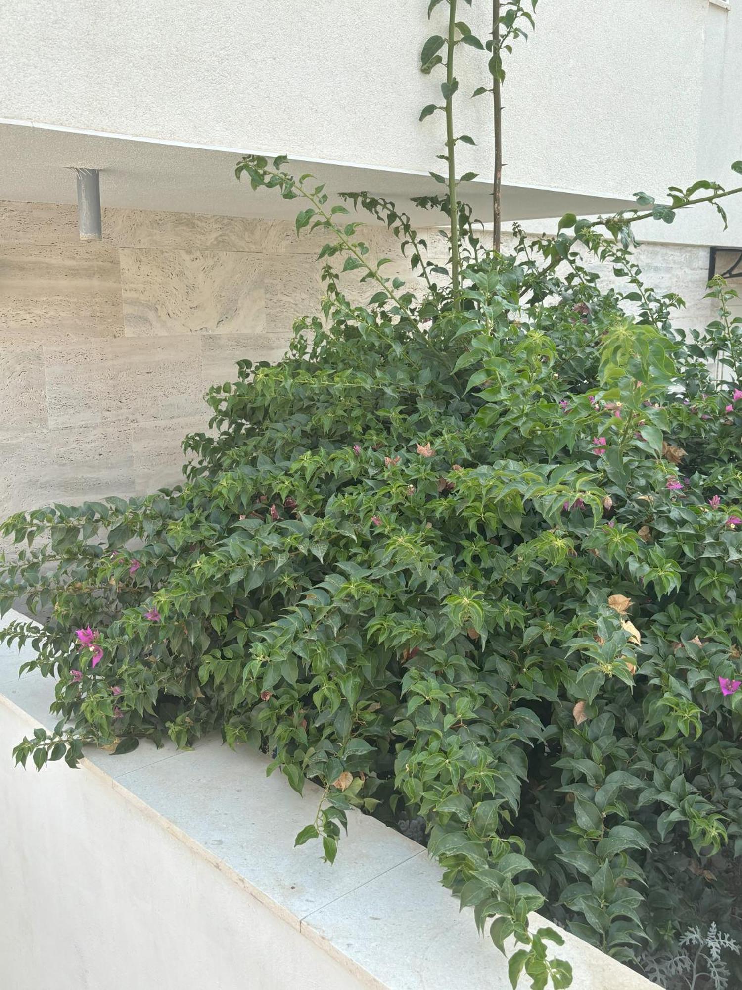 Vila Regina Apartment Regina With Swimming Pool Йезера Екстериор снимка